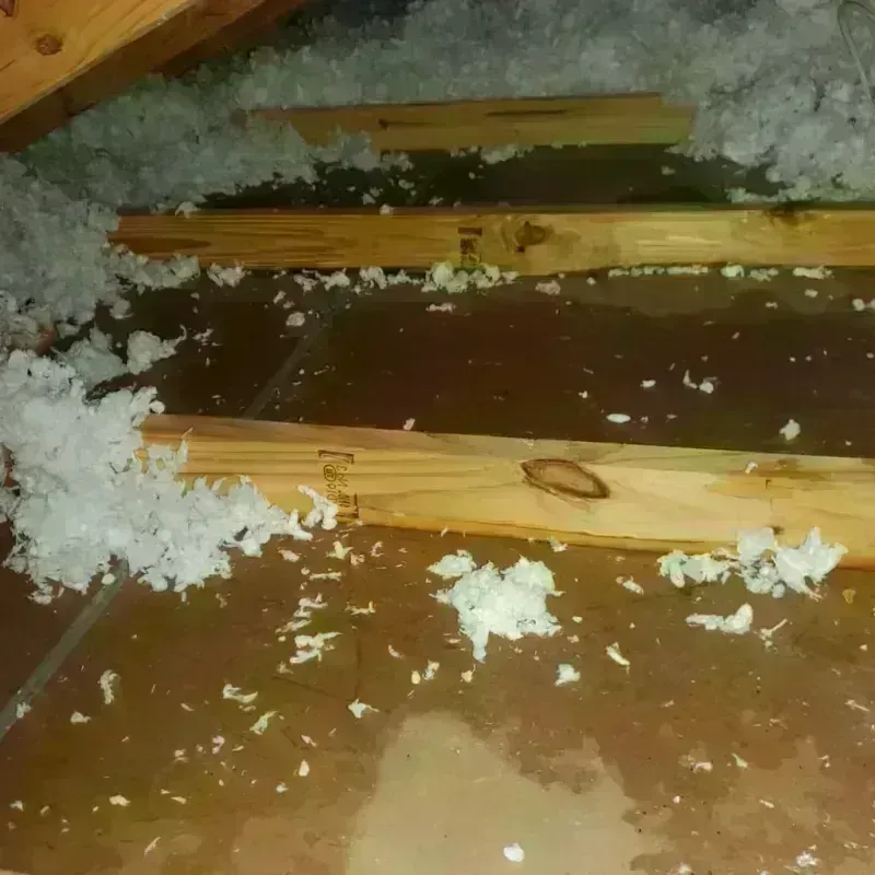 Attic Water Damage in South Windham, ME